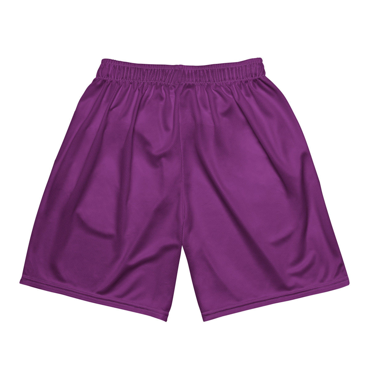 Howard mesh shorts - Purple & Gold
