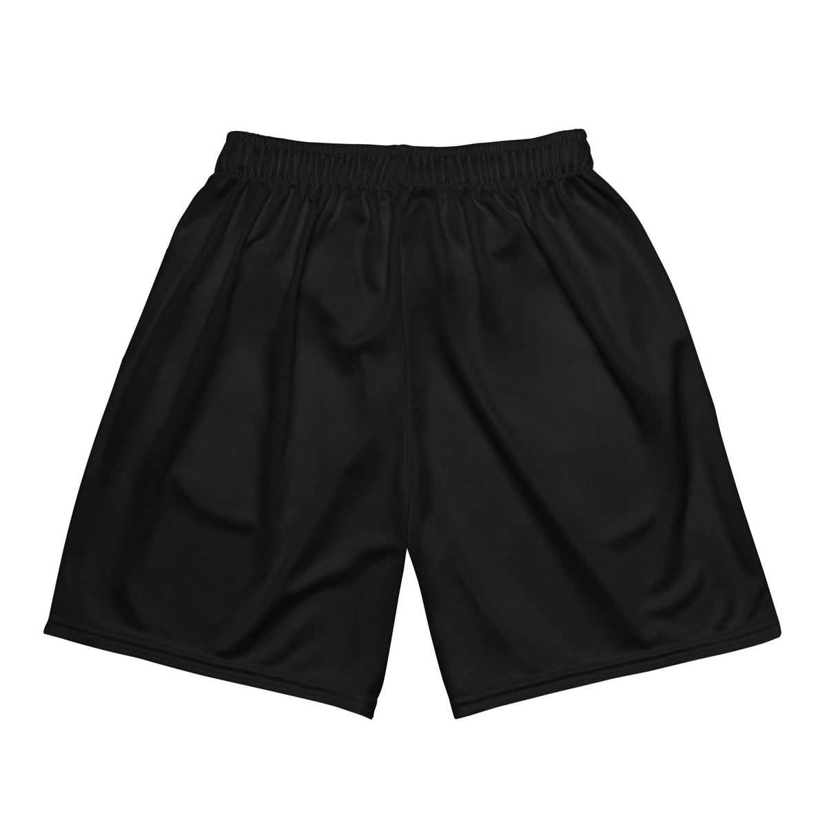 Cornell mesh shorts